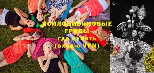 бошки Дмитров