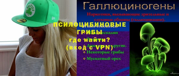 индика Дмитровск