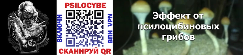 Псилоцибиновые грибы MAGIC MUSHROOMS  купить   Ногинск 